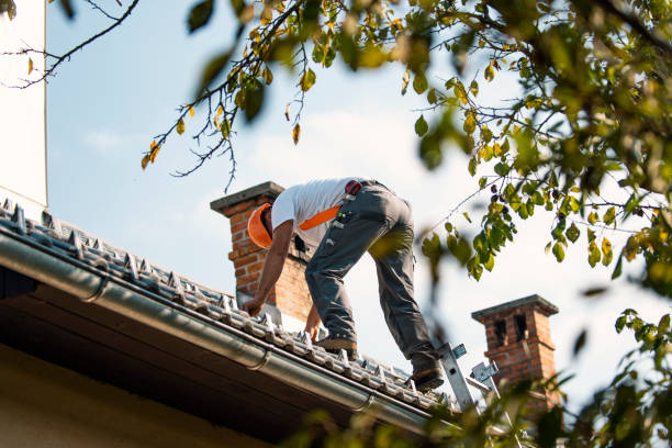Best Roof Ventilation Installation  in Columbus, MS