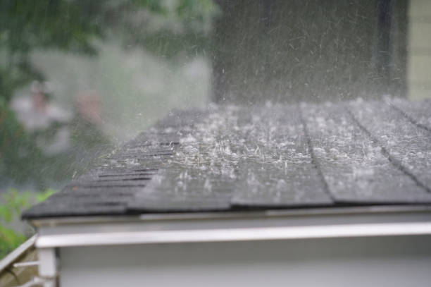 Best Storm Damage Roof Repair  in Columbus, MS