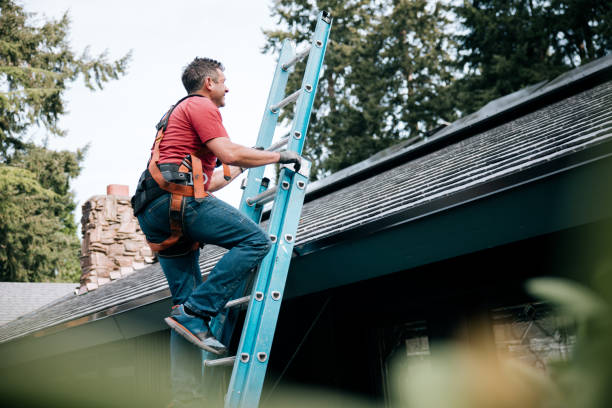 Best Gutter Installation and Repair  in Columbus, MS